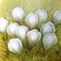 White saffron 30x30 - Oil painting - drawing