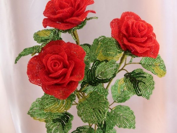 Roses - Biser