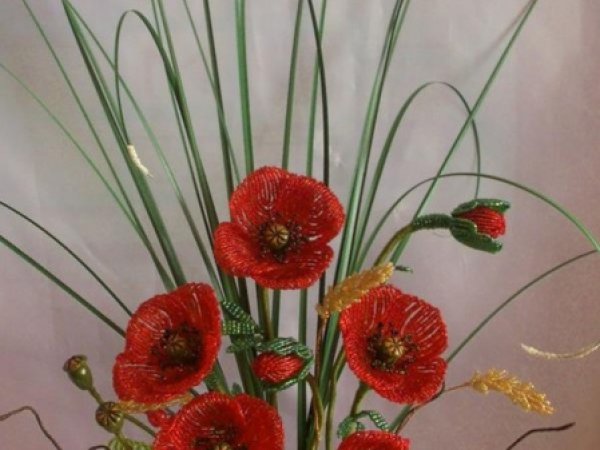 Poppies - Biser