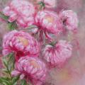 Pink peony 45x55 - Oil painting - drawing