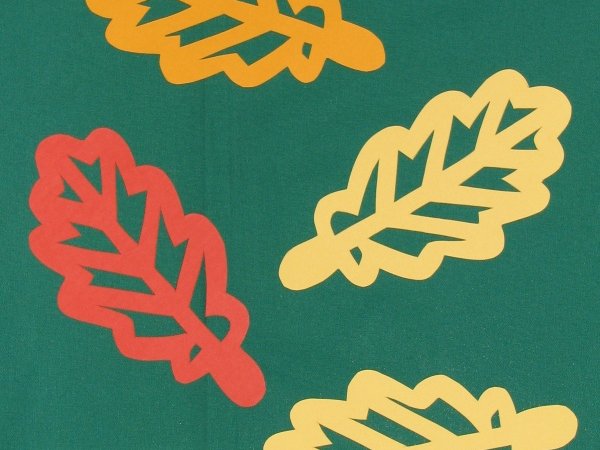 Leaves - Works from paper