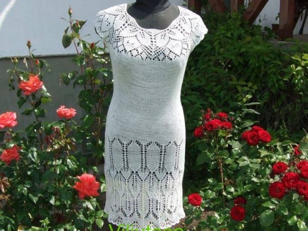 knitted dresses of cotton - Dresses