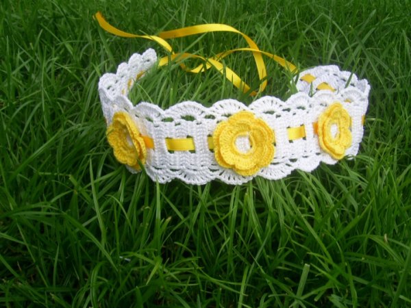 Yellow roses appeared so - Other clothing
