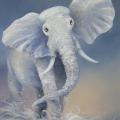 Linskma elephant 55x70 - Oil painting - drawing