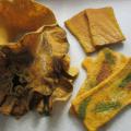 Set Autumn - Kits - felting