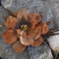 Felted brooch " the autumn " - Brooches - felting