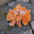 Felted brooch orange - Brooches - felting