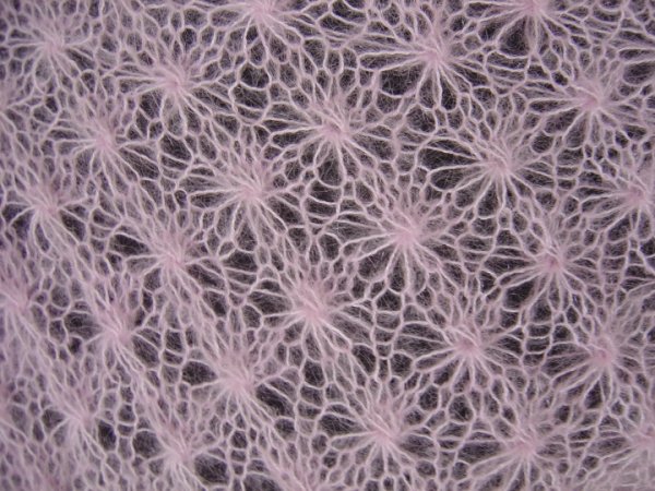 Sviesiai alyvinis salis 3