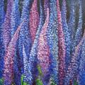 Lupines 36*60 - Oil painting - drawing