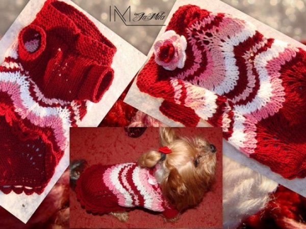 Papuošiau labai mielą "panelę" :) :) :) - For pets