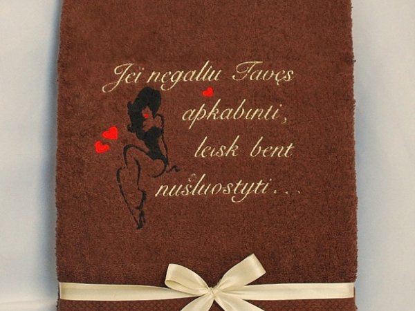 Jei negaliu Tavęs apkabinti, leisk bent nušluostyti! Sexy lady 2