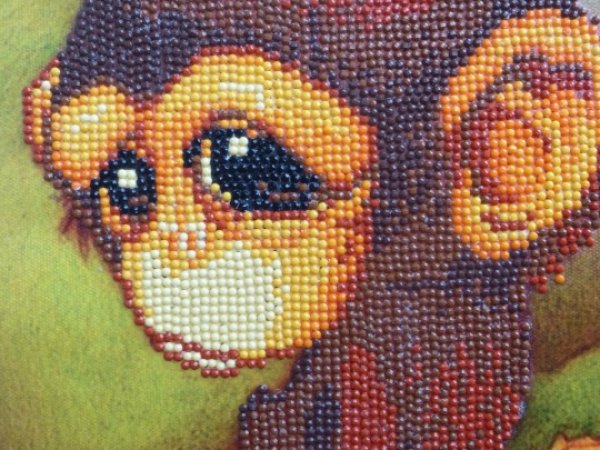 Monkey - Pictures