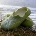  Slippers - Snowdrops - Shoes & slippers - felting