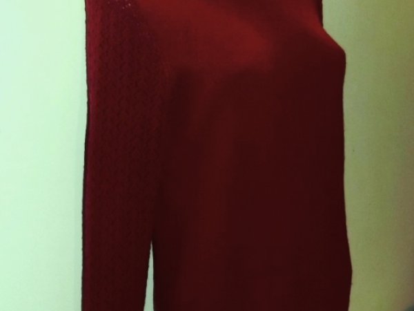 Red sweater 2