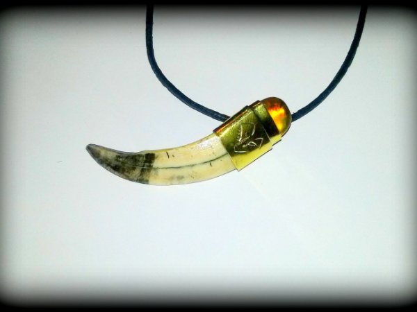 Pendant of boar tusk and amber 1