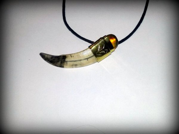 Pendant of boar tusk and amber 2