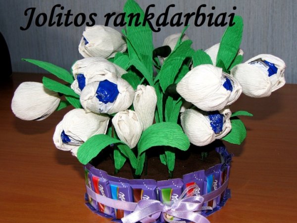 Snieguolyčių puokštė - Floristics