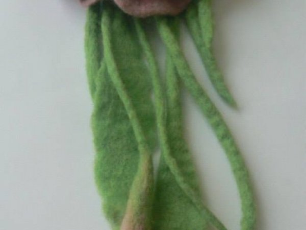 Sagė  - Švelnumas - Brooches