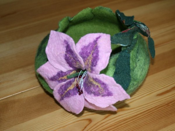 Lily 3