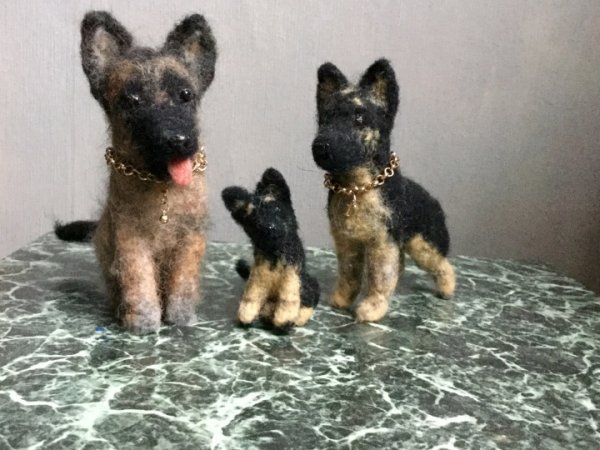 Burundukas 2