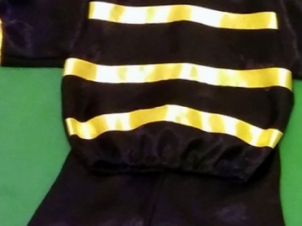 Bee costume  2