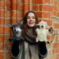 felt toys on hand "friends" donkeys and sheep - Dolls & toys - felting