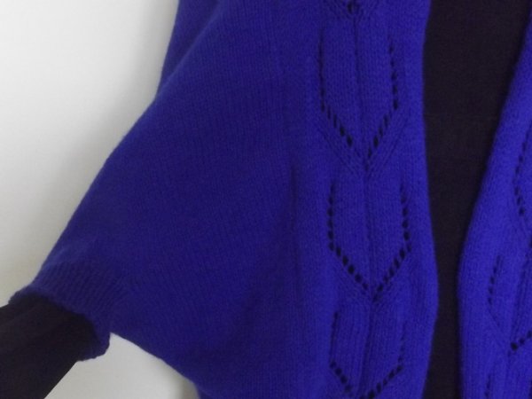 Cardigan - Blue tulips 2