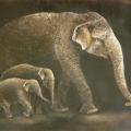 Elephants with mother 110x80 - Oil painting - drawing