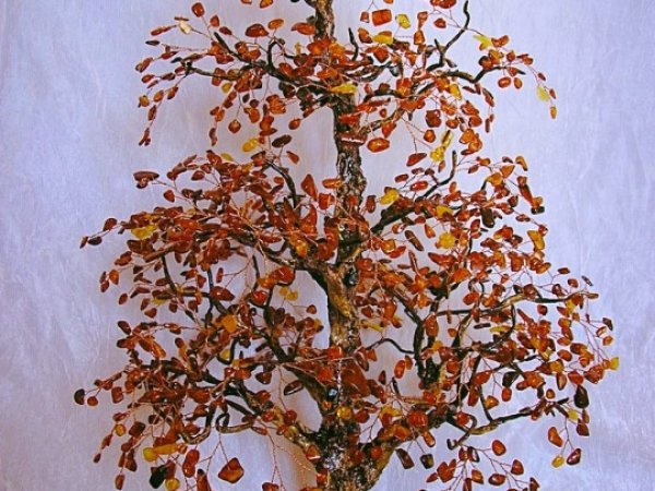 GINTARINIS MEDIS - Biser