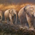 Brown elephants - Oil painting - drawing