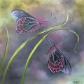parides photinus butterflies 53x57 - Oil painting - drawing