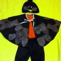  bullfinch carnival costume - Other clothing - sewing