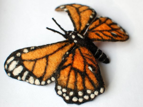 Veltas drugelis " Monarchas" 3