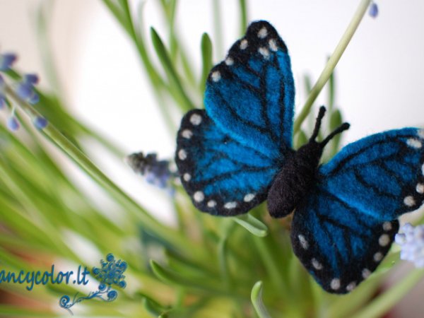 Veltas drugelis "Morpho" 2