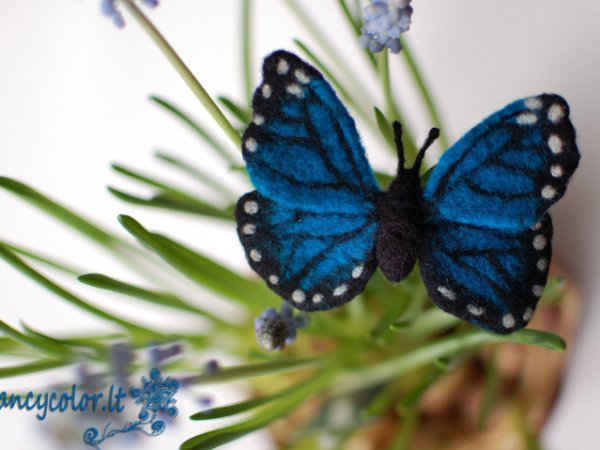 Veltas drugelis "Morpho" - Sagės