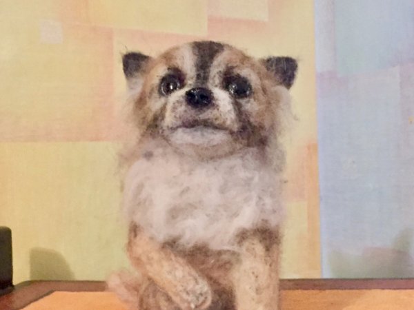 Veltas chihuahua šuniukas - Dolls & toys