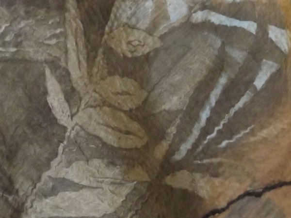 Veltas šalis " Santūrumas" 3