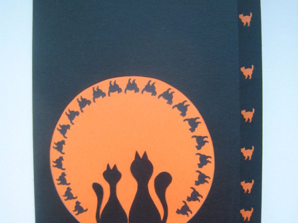 Katinai ir mėnulis - Postcard