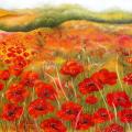 poppy field 70x50, oil on canvas. - Oil painting - drawing