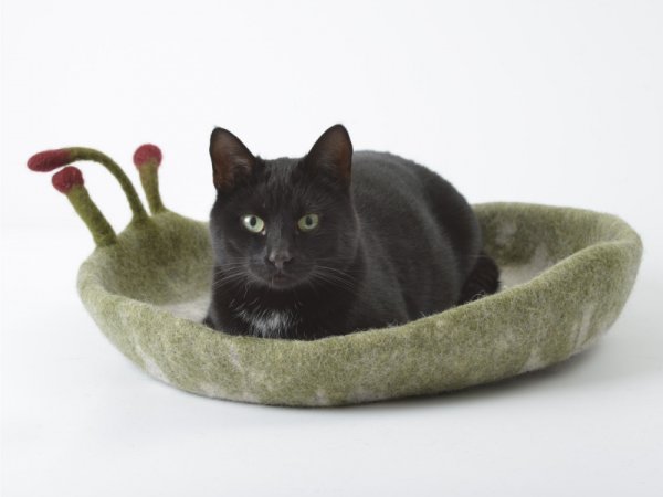 Guolis jūsų augintiniui/bed for pet - For pets