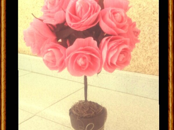 Rozes - For interior
