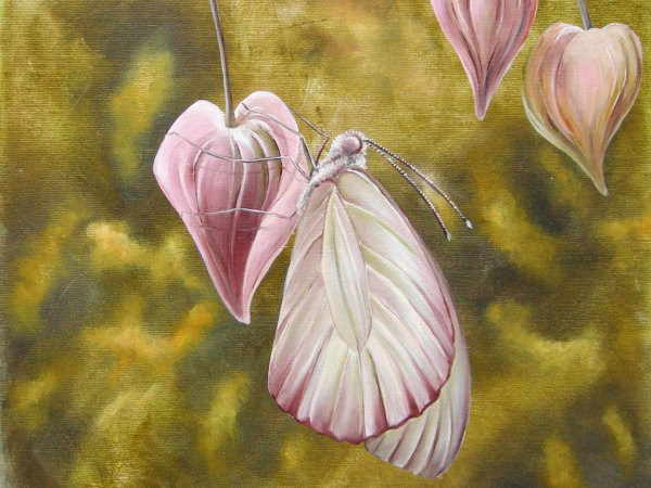 Drugelis II 35x35 - Oil painting
