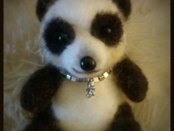 Panda - Accessories