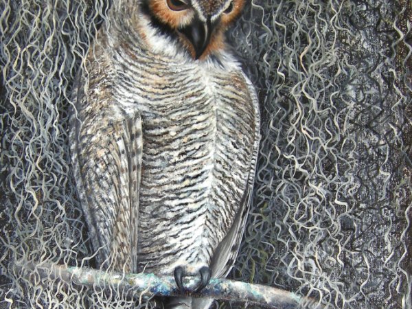 Didysis apuokas 50x75 - Oil painting