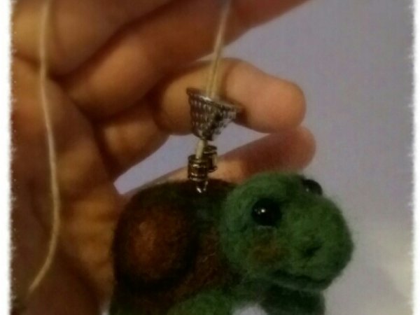 Turtle - Accessories