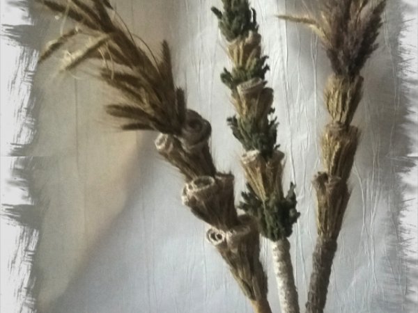 Verbos - Floristics