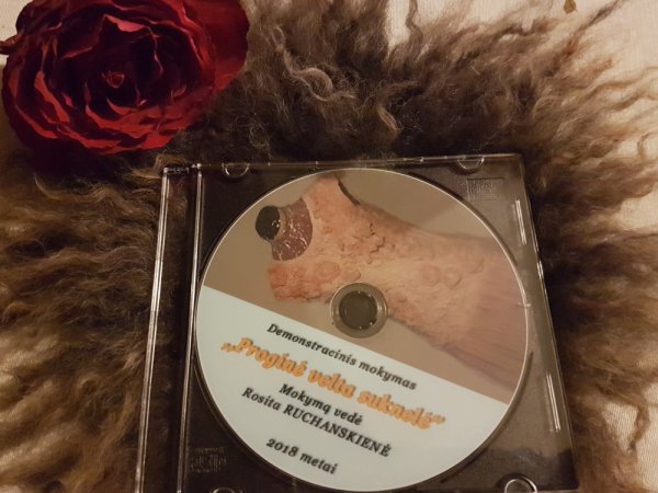 Visos sukauptos žinios sutalpintos atminčiai, senai brandinta mintis įgyvendinta - Wool & felting accessories
