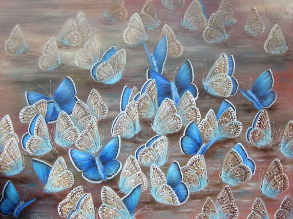 Drugelių plazdėjimas 60x50 - Oil painting