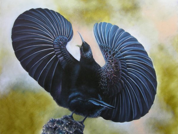 Viktorijos rojaus paukstis 68x59 - Oil painting