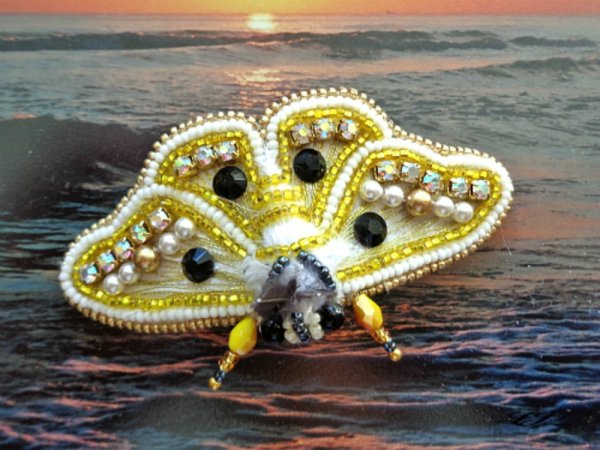 Geltonoji plaštakė - Brooches